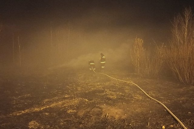 МЧС в пятницу усилило группировку спасателей, занятых в тушении торфяника в Екатеринбурге