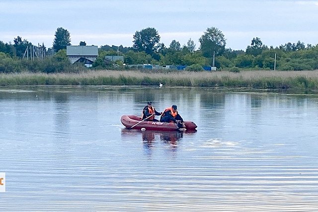 Двое южноуральцев утонули, спасая лебедей