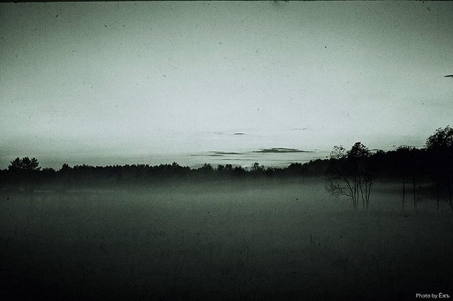 В Свердловской области объявили предупреждение из-за гари и дыма