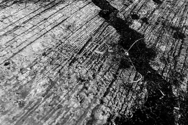 Вблизи от Екатеринбурга произошло землетрясение