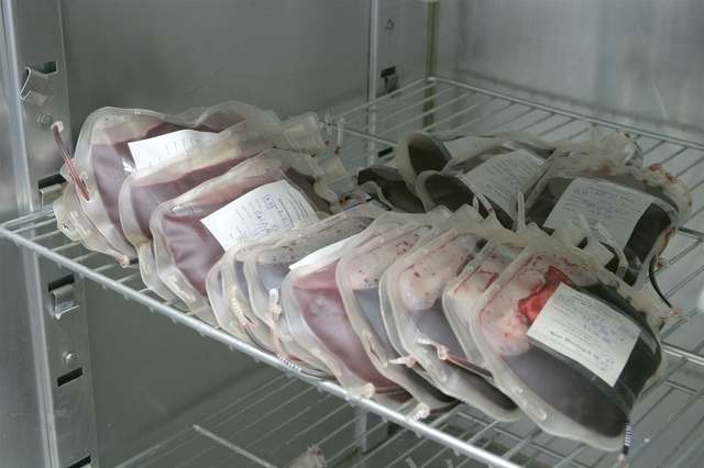 Уволена заведующая лабораторией, поставившей в больницу ВИЧ-инфицированную кровь