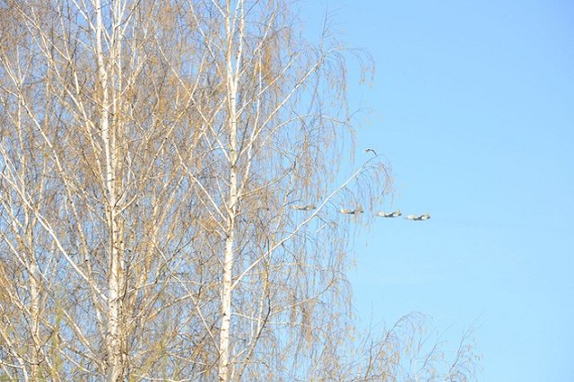 В Екатеринбурге состоялась вторая репетиция авиационной части парада