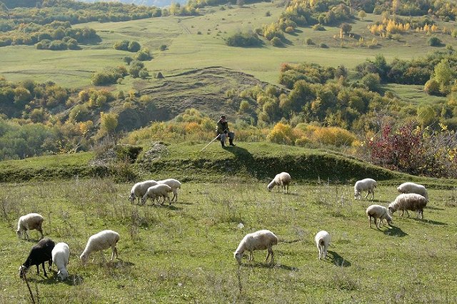 В Чечне росгвардейцы совершили жертвоприношение в честь Ахмата Кадырова