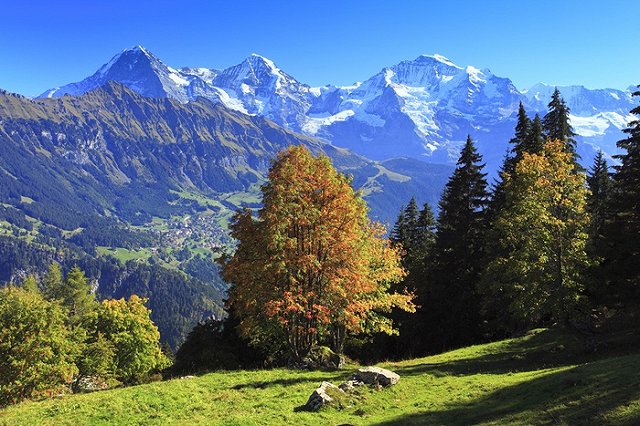 Швейцарская деревня миллионеров заплатит 260 тысяч евро за отказ от мигрантов