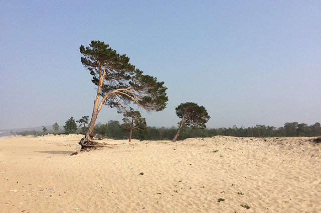 Эксперты заметили взрывной рост спроса на отдых в России