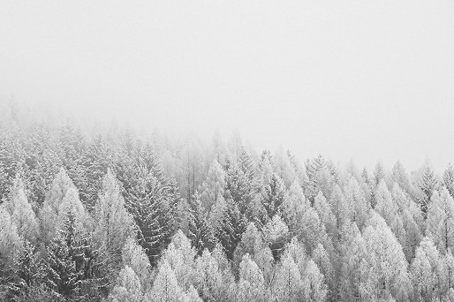 Синоптики объяснили, почему весной в Свердловской области стоят двадцатиградусные морозы