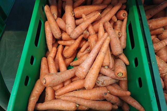 В УФАС назвали первопричину подорожания овощей в Свердловской области