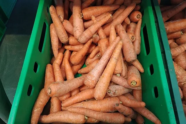 В УФАС назвали первопричину подорожания овощей в Свердловской области