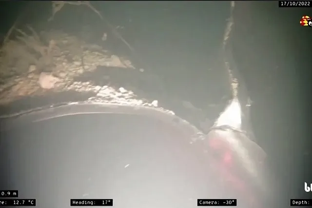 Вину за ЧП на «Северных потоках» хотят возложить на Россию, заявил Песков