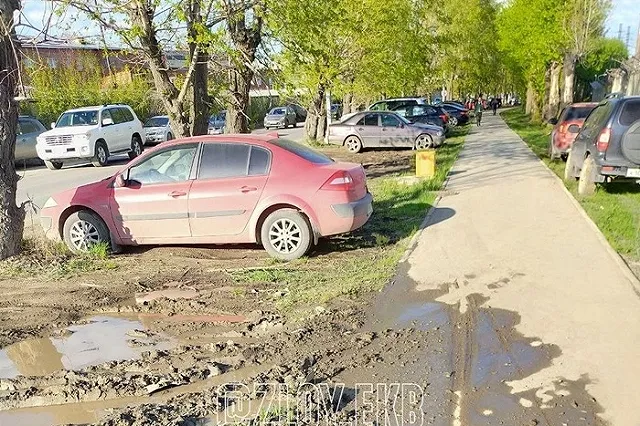 В Екатеринбурге автохамы массово оставляют машины на газонах — фото