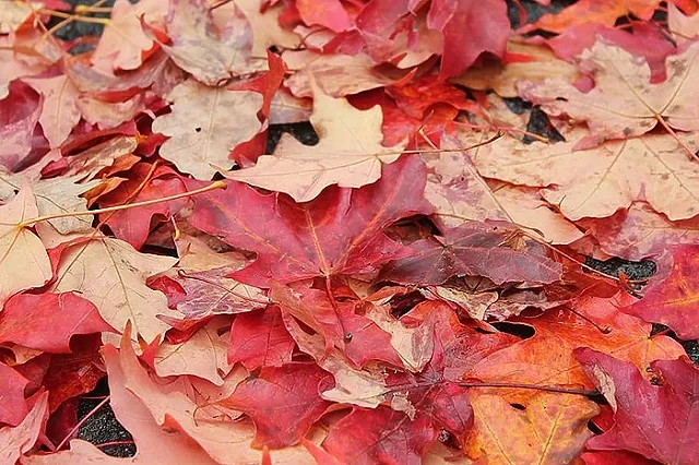 И.о. ректора УрФУ Илья Обабков отправил в отставку двух проректоров и главу департамента