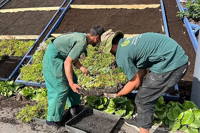 Минтруд предложил на 20% увеличить квоту на прием трудовых мигрантов