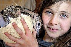 Страусенка нашли в мусорном контейнере в Екатеринбурге