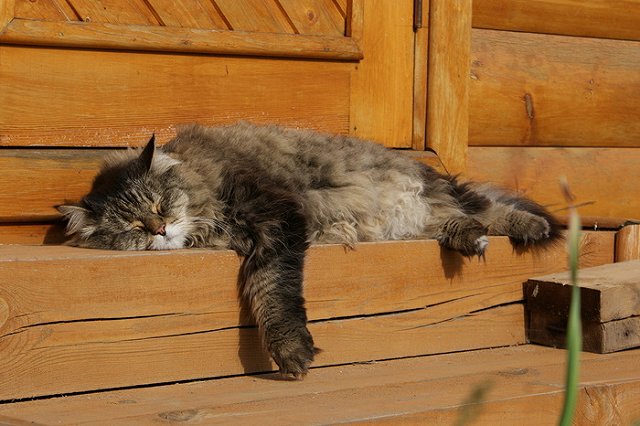 В правительстве определили праздничные дни в 2017 году