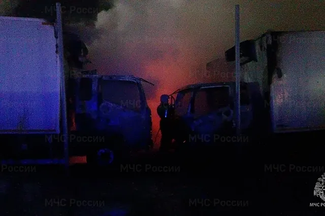 Девять грузовых автомобилей сгорели ночью в поселке под Екатеринбургом