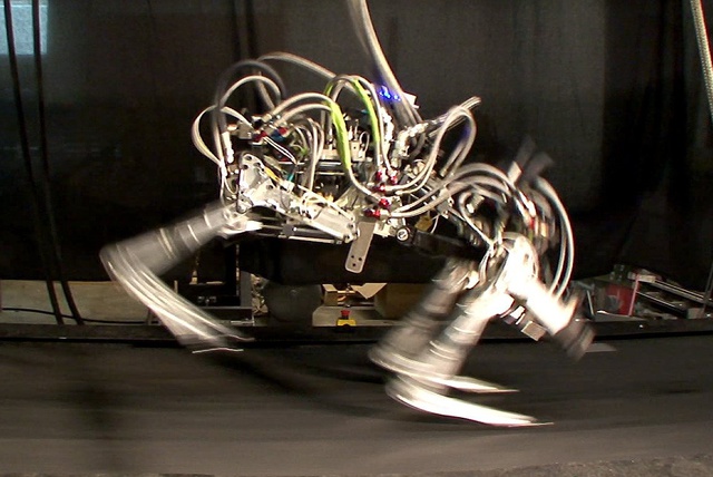 Дочерняя компания Google разработала для Пентагона робота для работы в толпе