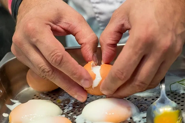 В Гарварде вручили Шнобелевские премии за самые нелепые открытия