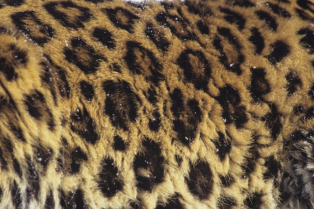 Екатеринбурженка отсудила у секонд-хенда за разваливающуюся норковую шубу 42 тыс