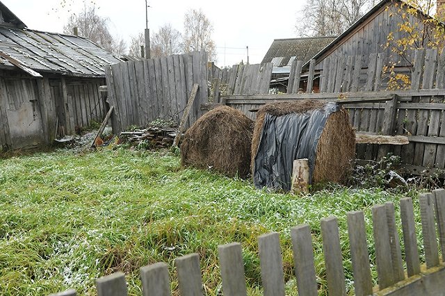 Омбудсмен: то, что семья хотела сдать детей в детдом из-за мусора — неправда