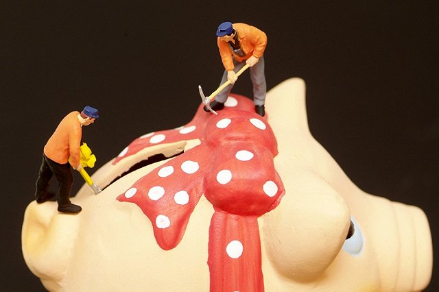 Счетная палата обнаружила в России сотни необъяснимых неналоговых сборов