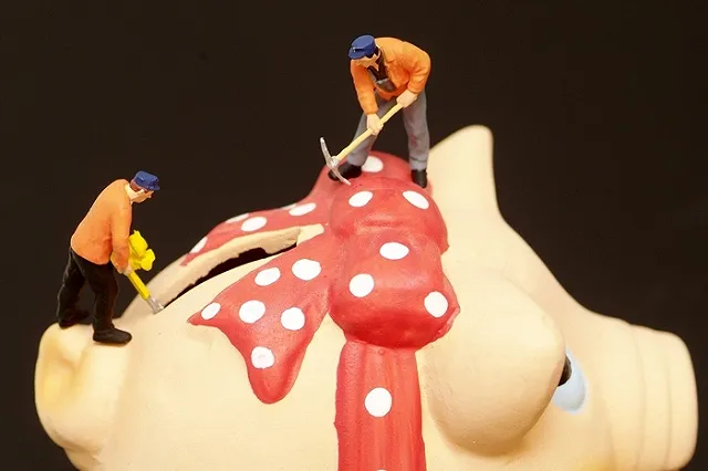 Счетная палата обнаружила в России сотни необъяснимых неналоговых сборов