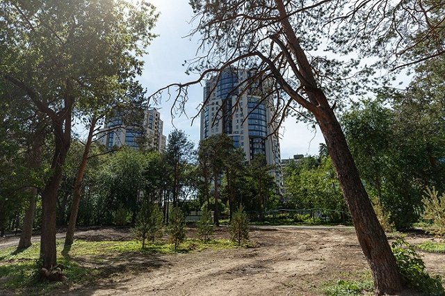 Александр Высокинский назвал сроки завершения реконструкции Зеленой рощи