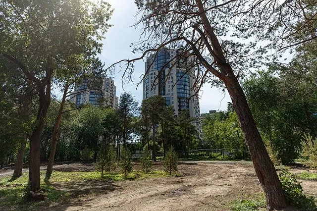 Александр Высокинский назвал сроки завершения реконструкции Зеленой рощи