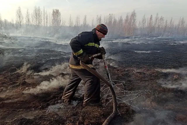 Запах гари от тлеющих в Екатеринбурге торфяников дошел до ХМАО
