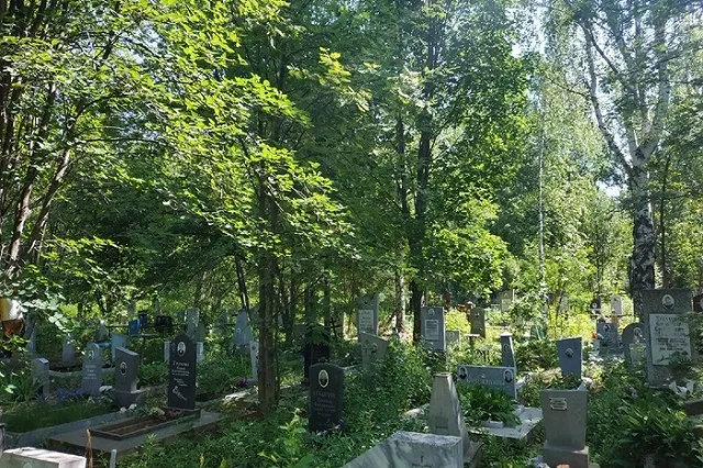 Гулявшие грязными ногами по монументу ВОВ в Йошкар-Оле иностранные туристы отправлены в колонию