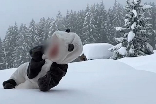 Блогер-миллионник ради лайков бросил в сугроб своего двухмесячного ребенка (ВИДЕО)