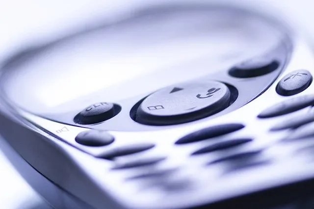 В Кушве двое мужчин убили старушку и ее внука ради двух мобильных телефонов