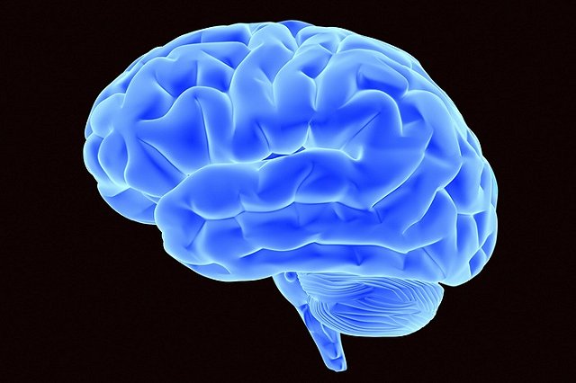 Создана первая телепатическая сеть: можно общаться с помощью передачи мыслей