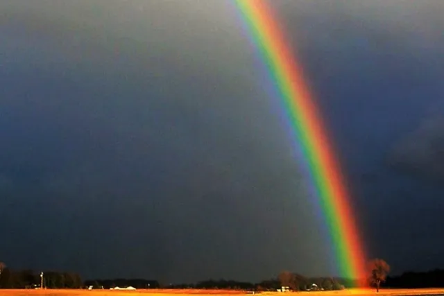 Депутат Госдумы пожаловался на телеканал «МАТЧ!» за «рекламу символики ЛГБТ»