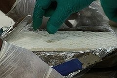 В колумбийских цветах для России нашли партию кокаина