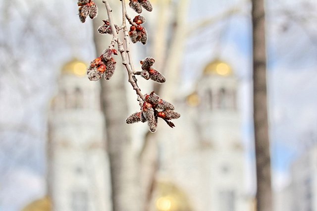 Мягкая зима продлится на Урале до конца марта