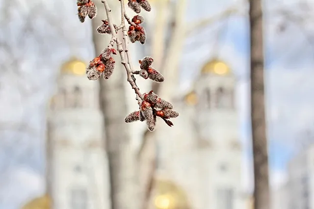 Мягкая зима продлится на Урале до конца марта