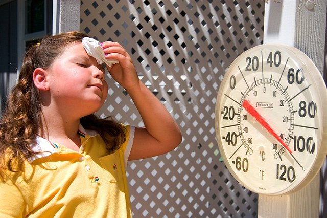 На западном побережье США спрогнозировали жару до 49°C