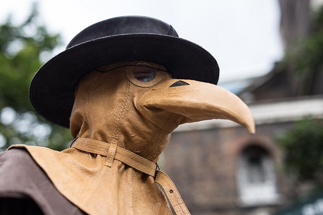 Бубонная чума выявлена у ребенка на Алтае