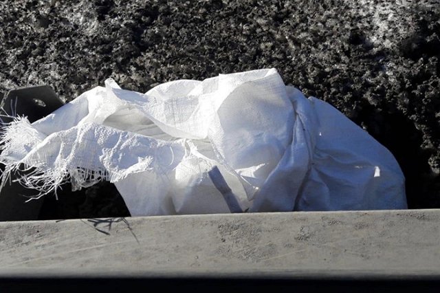 Ребенка, оставленного с пакетом на голове в лесопарке, отдали бабушке