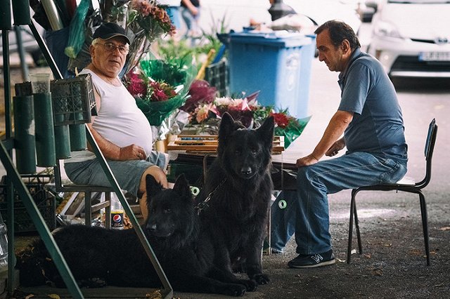 Михаил Мальцев: При всем росте Грузия не составила бы конкуренции нашему югу