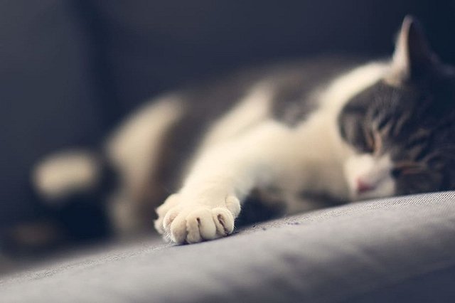 Россиян ждет короткая рабочая неделя в апреле