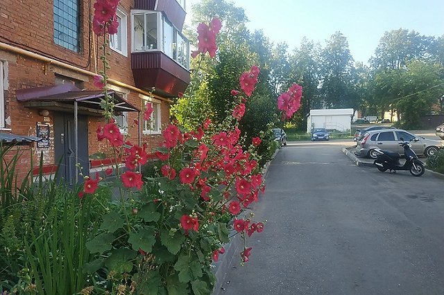 Домовые чаты в Мах станут обязательными с 1 сентября, заявили в Госдуме