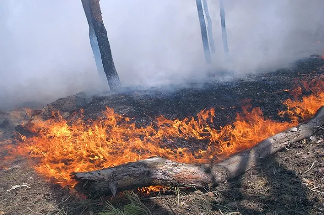 Близ удмуртского поселка Пугачево вновь горит военный арсенал