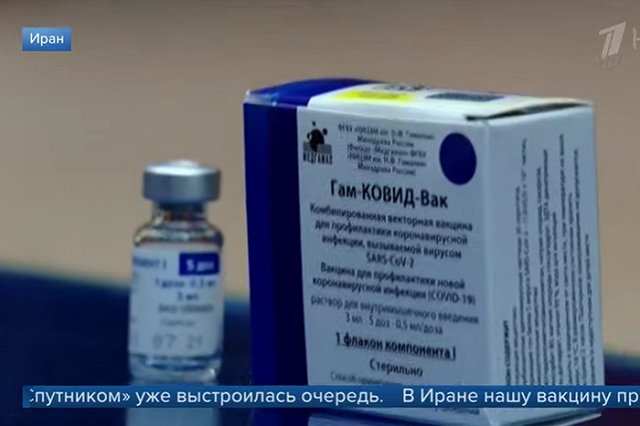 Spectator заявил о зарождении новой дружбы России и Германии