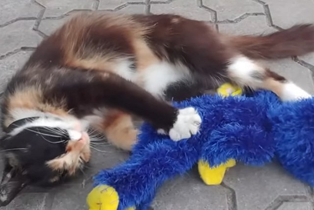 Роскачество: Игрушки «Хагги Вагги» токсичны для детей