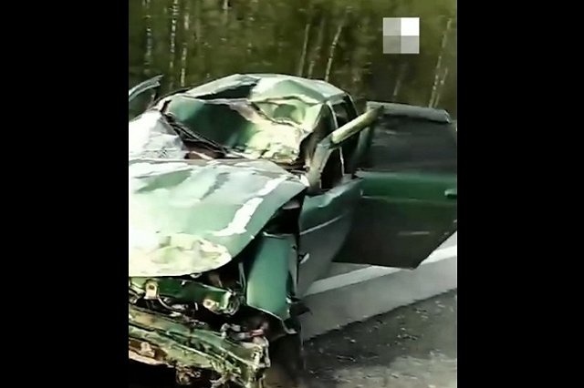 Водитель «десятки» погиб при столкновении с лосем на Режевском тракте