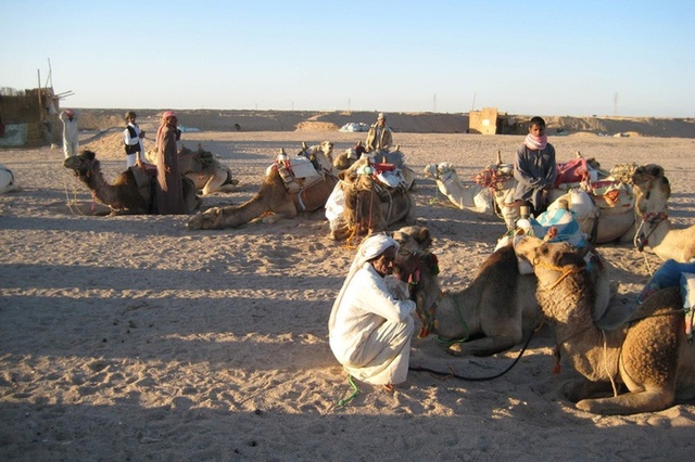 Российские туристы пострадали в крупной автоаварии в Египте