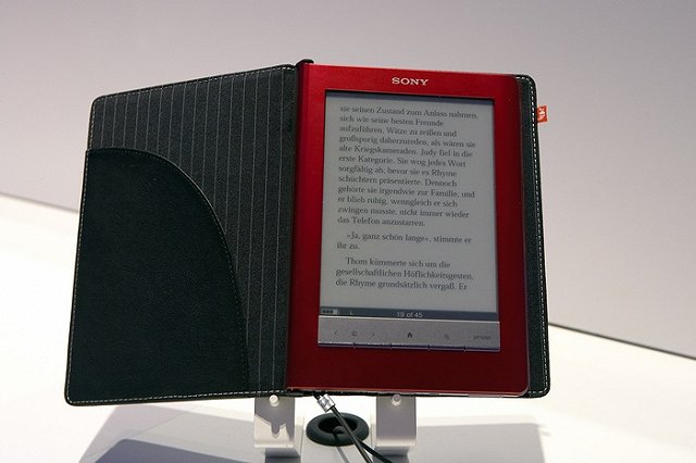 Долю пиратства на рынке электронных книг в России оценили в 95 процентов