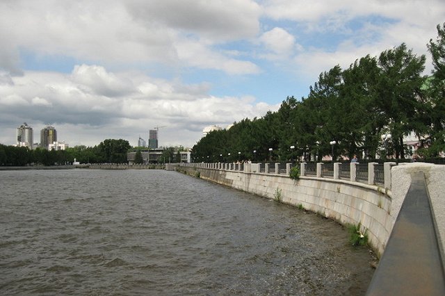 Евгений Ройзман пообещал уберечь Зеленую Рощу и сквер у «Космоса» от уничтожения