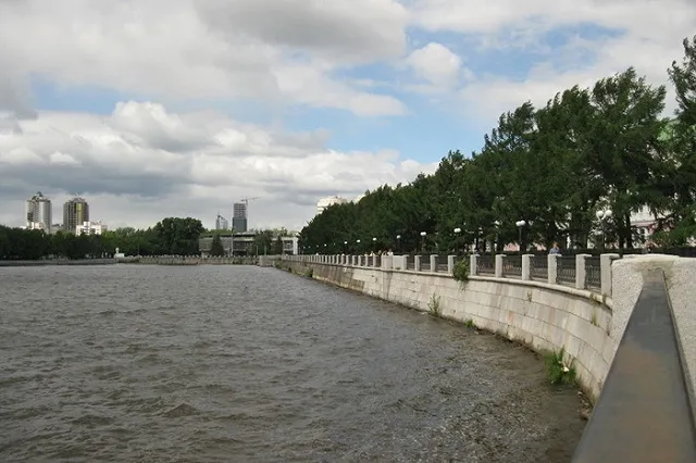 Евгений Ройзман пообещал уберечь Зеленую Рощу и сквер у «Космоса» от уничтожения